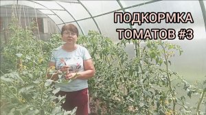 ПОДКОРМКА ДЛЯ ТОМАТОВ🍅#3