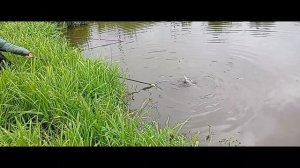 И снова Юрий Иванович!