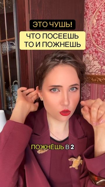 Что посеешь то и пожнешь смотреть онлайн