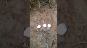 Цікавий ТЕСТ на РОЗДІЛЕННЯ цілей, а саме фольги та срібла, приладом КОЩЕЙ Х45!!!