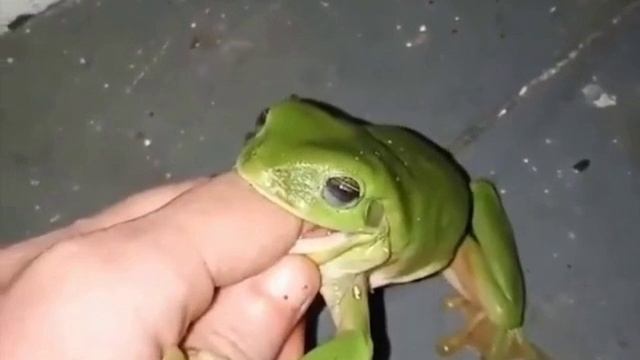 Женись