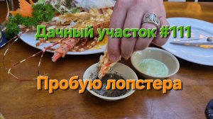 Дачный участок #111 пробую лопстера во Вьетнаме 2026