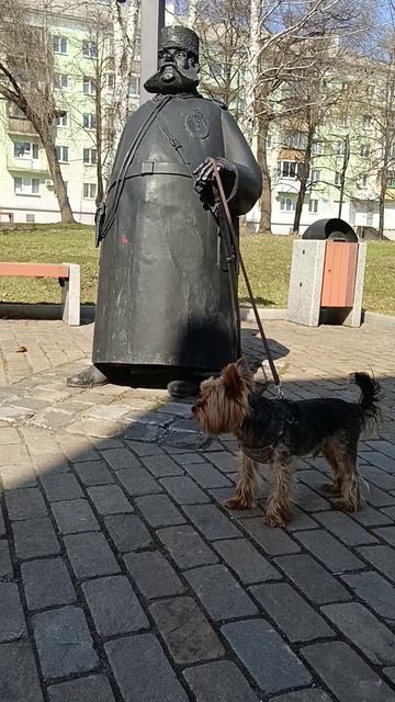 Менты повязали, дело шьют