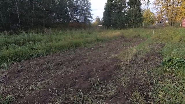ОТРЕЗАЛИ ПРОВОДА и Остался без Света / Мерзнут Цыплята смотреть онлайн