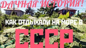 ДАЧНАЯ ИСТОРИЯ! КАК ОТДЫХАЛИ НА МОРЕ В СССР