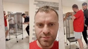 Адамян- Новая Клетка Для Лорика Собираем Всей Игренью- Что-то не так