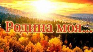 В сети и в тени