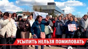 Усыпить нельзя помиловать: в Прибайкалье приняли закон об умерщвлении бездомных собак