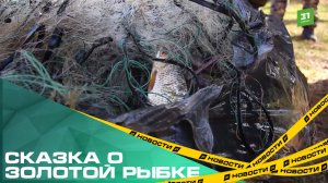 Сказка о золотой рыбке. Как не нарваться на штраф за любительскую рыбалку?