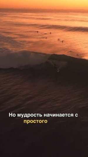 Жертвенность