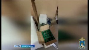 Крупную партию контрафактного алкоголя изъяли у супругов на Ставрополье