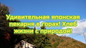 Удивительная японская пекарня в горах! Хлеб жизни с природой!