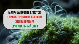 Матрица против глистов и паразитов! Оригинальный звук!