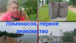 Ломоносов, Ч. 1. Встреча с соратниками