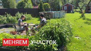 Посадили ТУИ | ГАЗОН | ПОМИДОРЫ