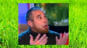 Площадка «Взлет чемпионов»