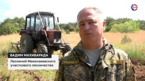 В севастопольских лесничествах начался сезон ухода за молодыми деревьями