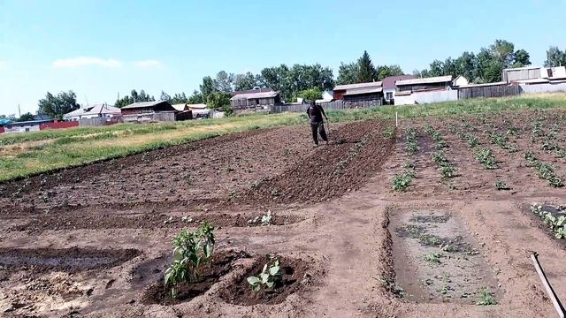 Старый конь борозды не портит 🤣/ я не врушка / небольшие покупки смотреть онлайн