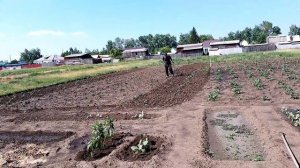 Старый конь борозды не портит 🤣/ я не врушка / небольшие покупки
