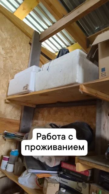 работа в Саргоне