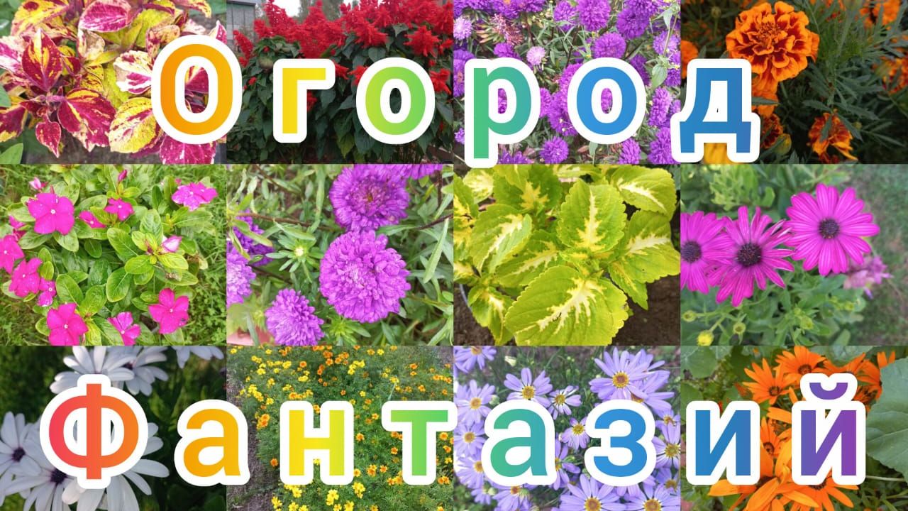 Обзор огорода на 15 июня 2026 года!)))) смотреть онлайн