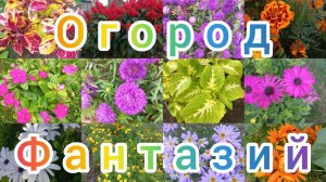 Обзор огорода на 15 июня 2026 года!))))