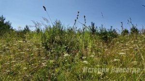 Спеша с работы домой, Лера приютила бездомного с улицы. Но когда утром увидела…