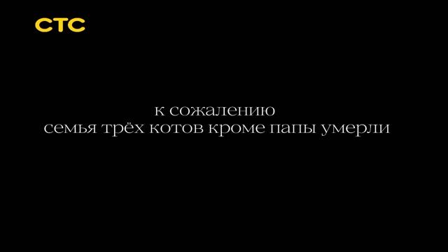 три кота: вырезанный фрагмент (10.05.2016) смотреть онлайн