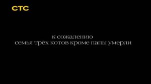 три кота: вырезанный фрагмент (10.05.2016)
