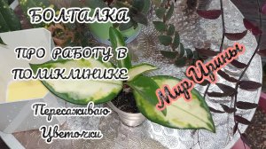 БОЛТАЛКА | ПРО РАБОТУ  В ПОЛИКЛИНИКЕ |ПЕРЕСАЖИВАЮ ЦВЕТОЧКИ ●●●