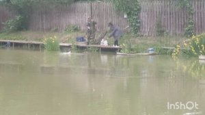 Ловим карпа 🐟🐟🐟