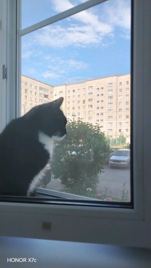 Я с младшим братом