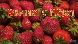 КЛУБНИКА. 
авторская песня