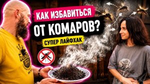 Комаров не будет, если сделать это