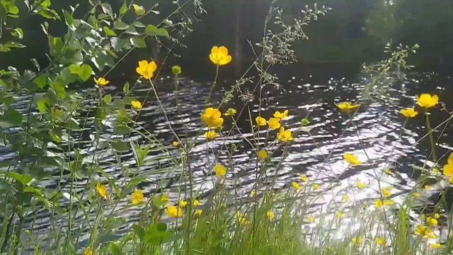Звуки природы. Релакс. Музыка от ИИ.