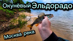 Окуневый ЭЛЬДОРАДО на Нижней Москве-реке / Отводной поводок