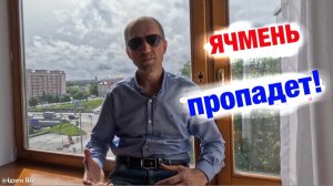 Ячмень на глазу: что делать нельзя и как избавиться дома.