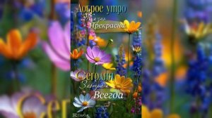 Доброе утро.