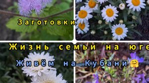 15-06-26/ Заготовки/ Живём и работаем на Кубани/ Молодая картошечка/ Гороховый суп/Переезд на Кубань