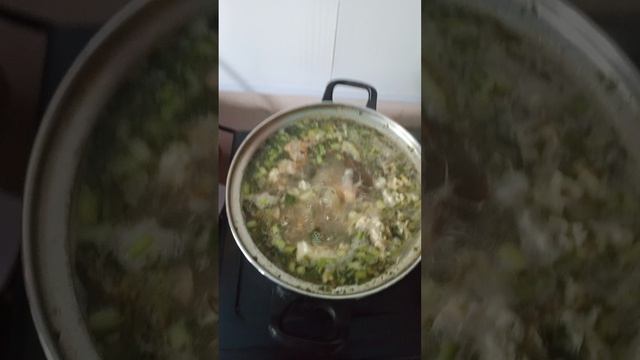1000024441.mp4 супчик щавель от Нинули. смотреть онлайн