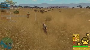 видео из Ютуба ! Саванна лайф | Savanna life