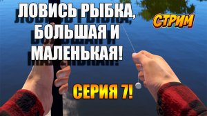 Рыбалка с разговорами! 🤣 Russian Fishing 4! Серия 7