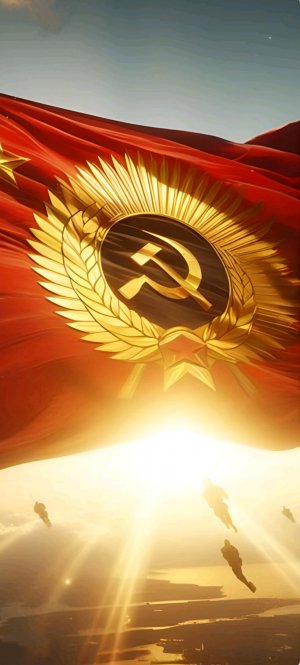стëрка билетов