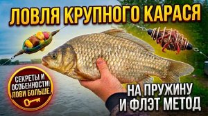 Ловлю больших Карасей на пружину и флэт в июне