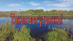 Утрянка на красивой речке/ ловлю окуня на Ultra Light спиннинг с мальком