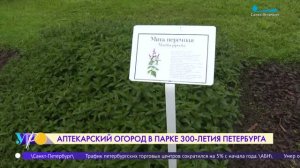 Аптекарский огород в парке 300-летия Петербурга