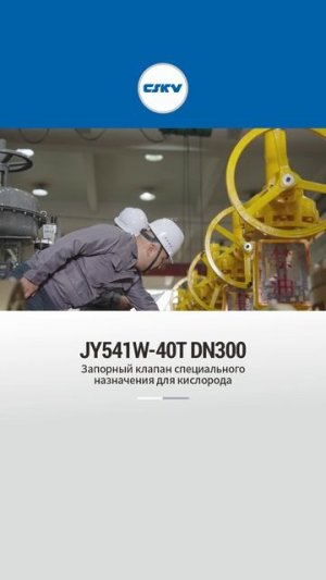 JY541W-40T DN300 Запорный клапан специального назначения для кислорода-CSKV