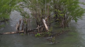 ВОДА ПОД КОНТРОЛЕМ