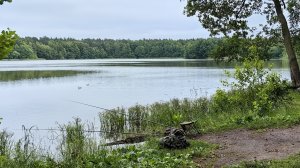 Обстановка на озере Срамное. Пос. Белоозерский.18-06-2026