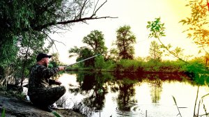 Разведка поймы на наличие гнуса